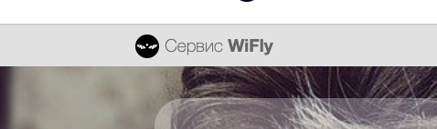 Блок "Сервис WiFly"