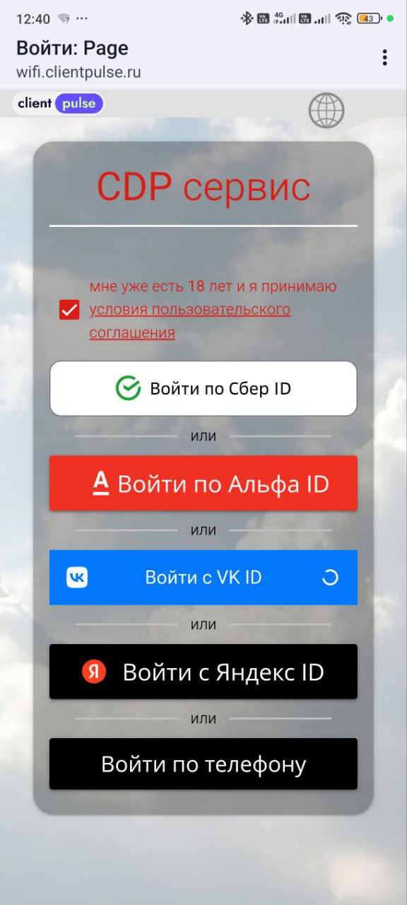 Подтверждение возраста и согласие с условиями